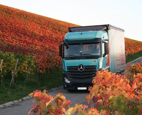 LKW im Weinberg II